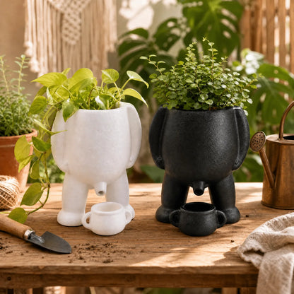 The Drip Vase™