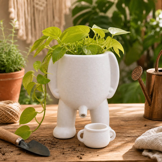 The Drip Vase™